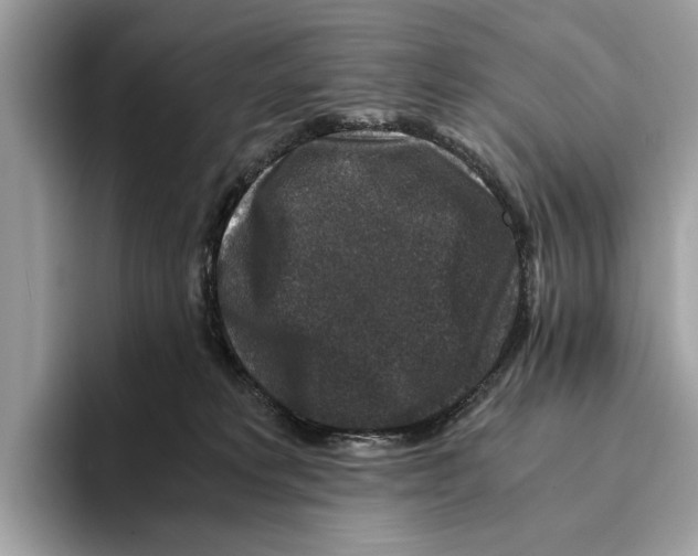 X0000095540229200801111439