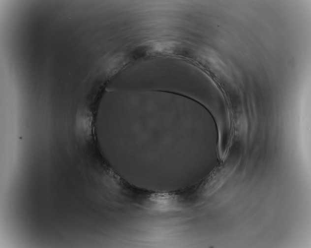 X0000095540231200801111439