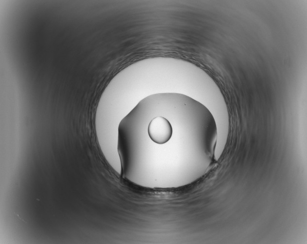 X0000095540233200801111439