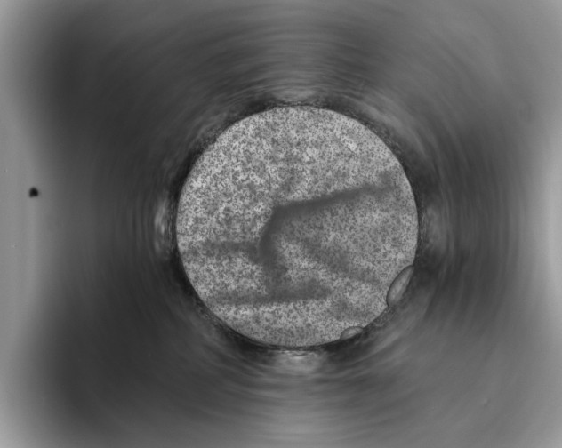 X0000095540234200801111439