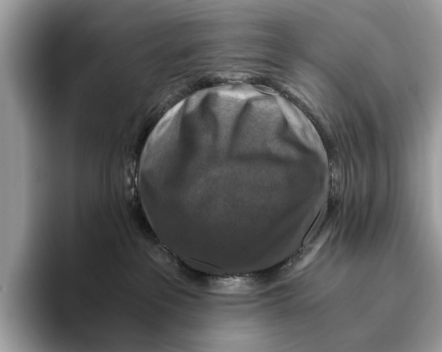 X0000095540237200801111439