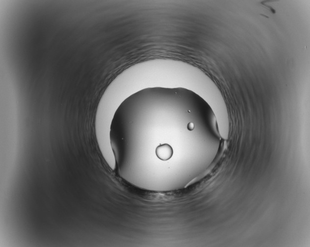 X0000095540239200801111439