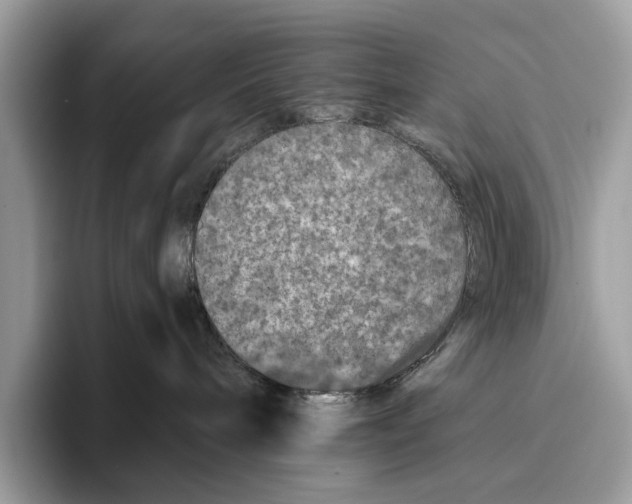 X0000095540240200801111439