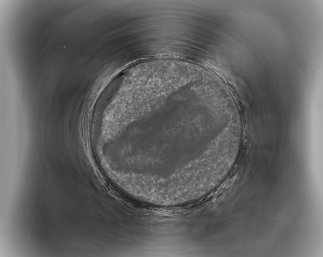 X0000095540241200801111439