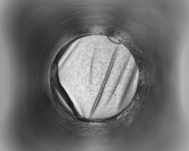 X0000095540242200801111439