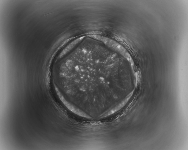 X0000095540243200801111439