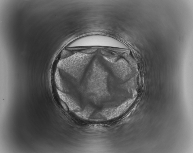 X0000095540244200801111439