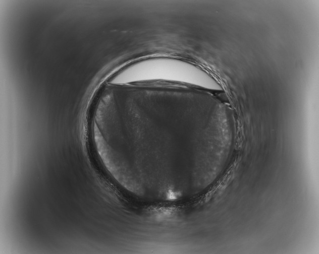 X0000095540247200801111439