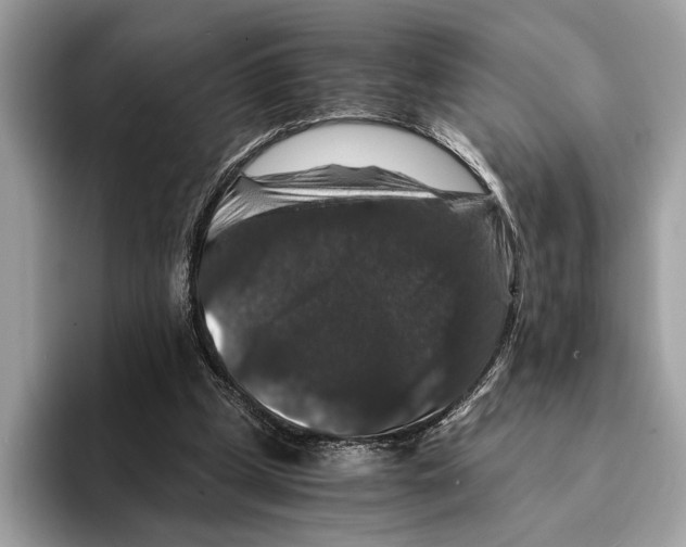 X0000095540249200801111439