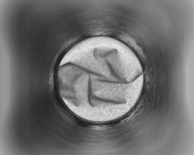 X0000095540250200801111439