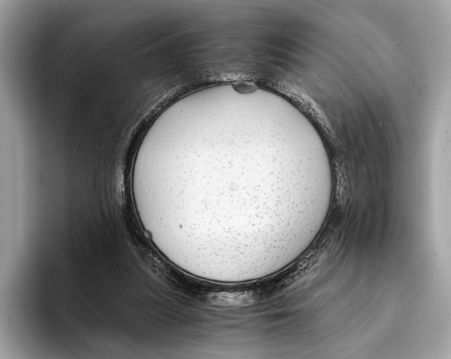 X0000095540251200801111439