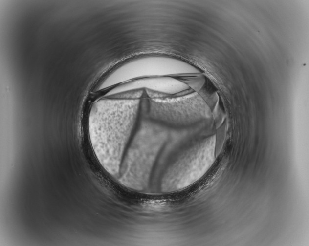 X0000095540252200801111439