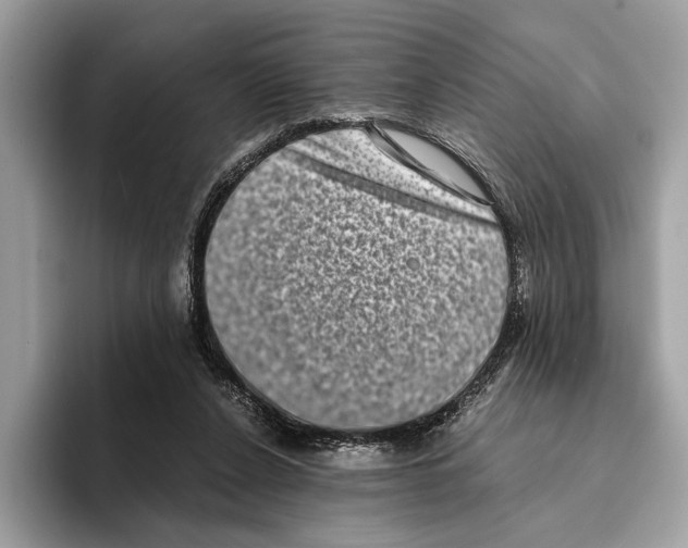 X0000095540256200801111439