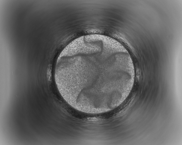 X0000095540259200801111439