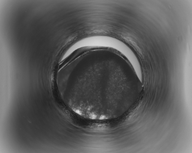 X0000095540260200801111439