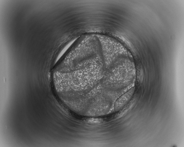 X0000095540261200801111439