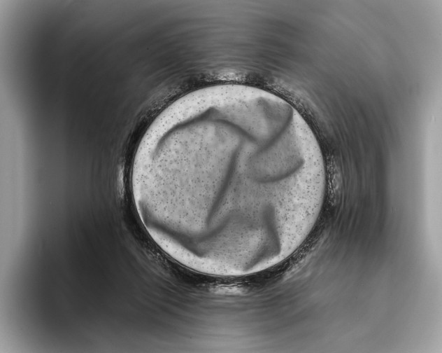 X0000095540262200801111439