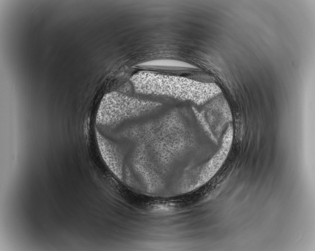 X0000095540263200801111439