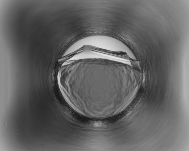 X0000095540264200801111439