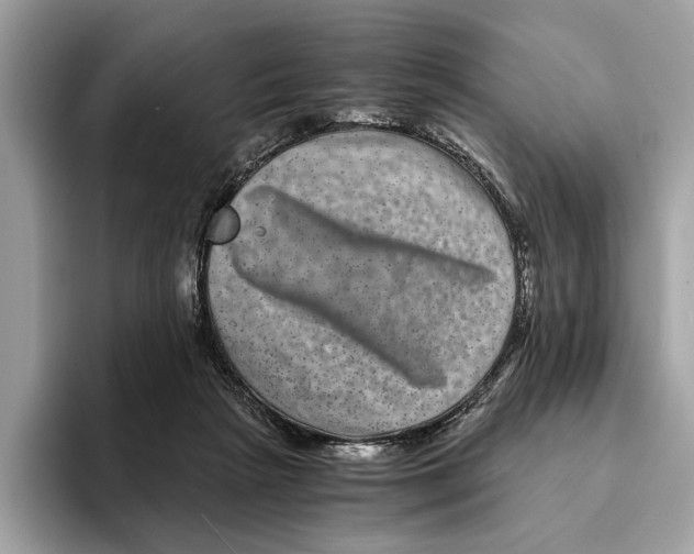 X0000095540265200801111439