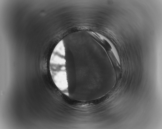 X0000095540267200801111439