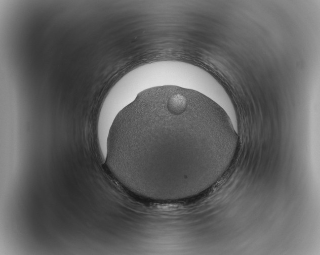 X0000095540268200801111439