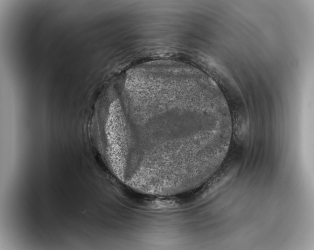 X0000095540270200801111439