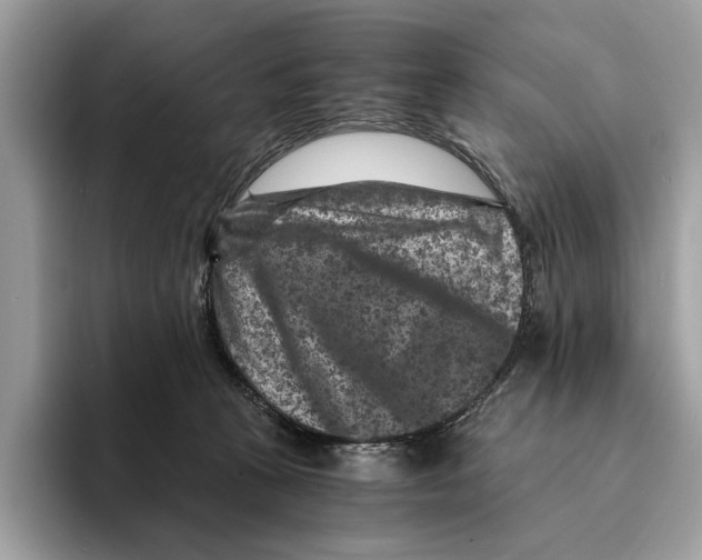 X0000095540273200801111439