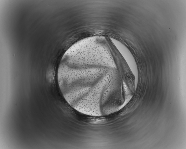 X0000095540274200801111439