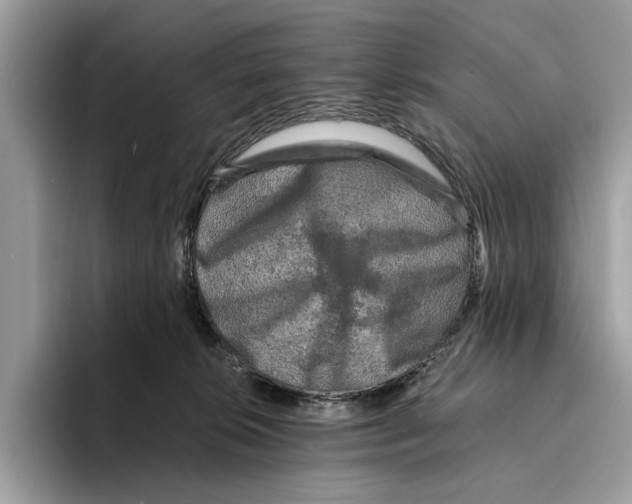 X0000095540276200801111439