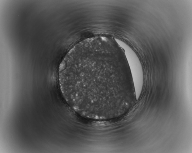 X0000095540277200801111439