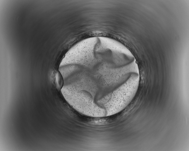 X0000095540278200801111439