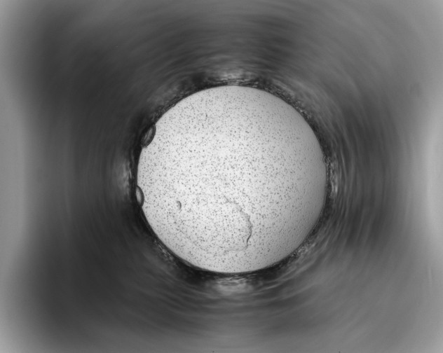 X0000095540279200801111439