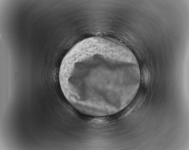 X0000095540280200801111439