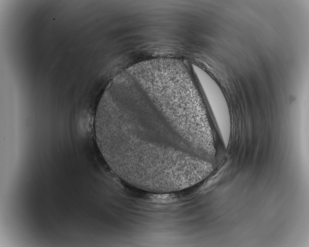 X0000095540281200801111439