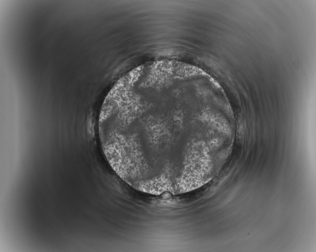 X0000095540282200801111439