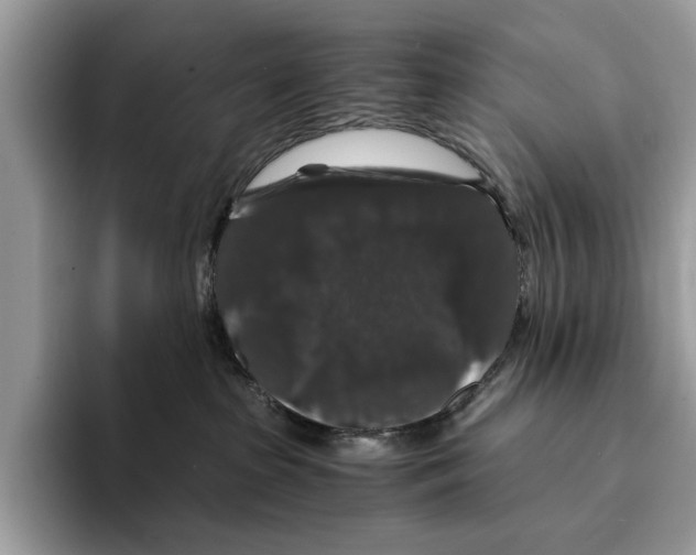 X0000095540285200801111439