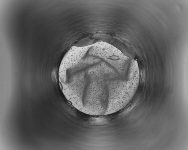 X0000095540286200801111439