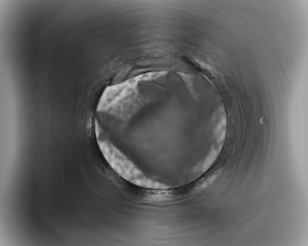 X0000095540288200801111439