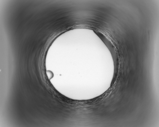 X0000095540289200801111439