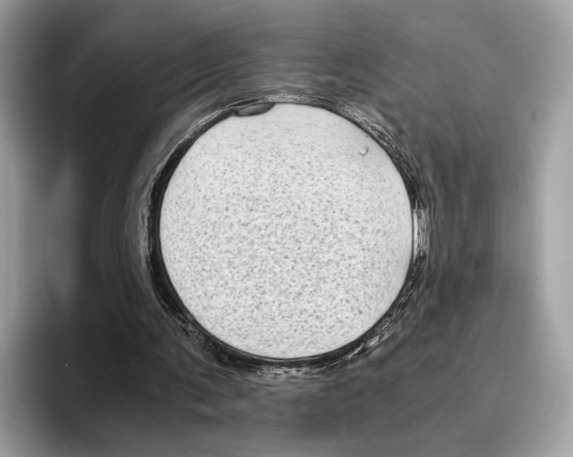 X0000095540291200801111439