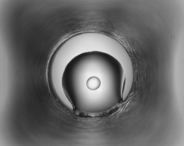 X0000095540292200801111439