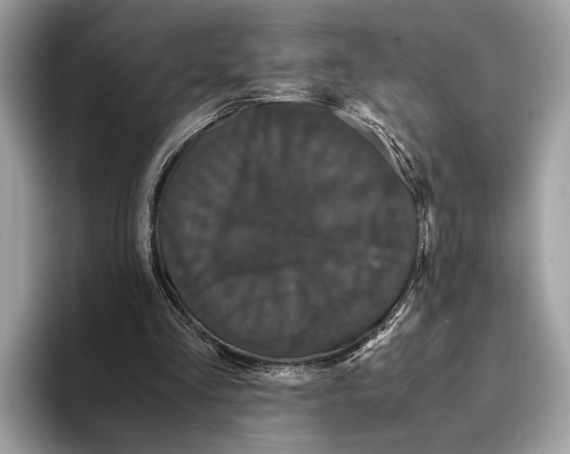 X0000095540293200801111439