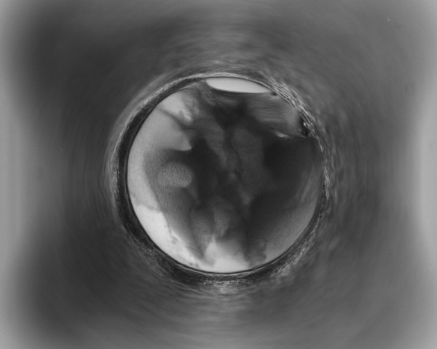 X0000095540295200801111439