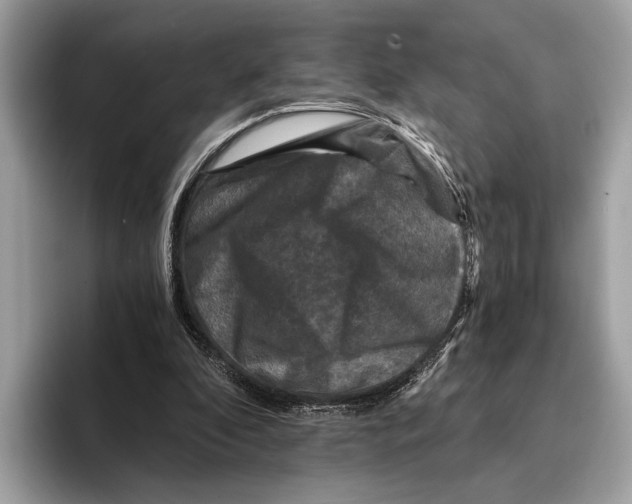 X0000095540296200801111439