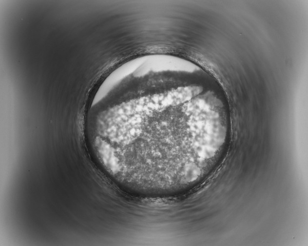 X0000095540297200801111439