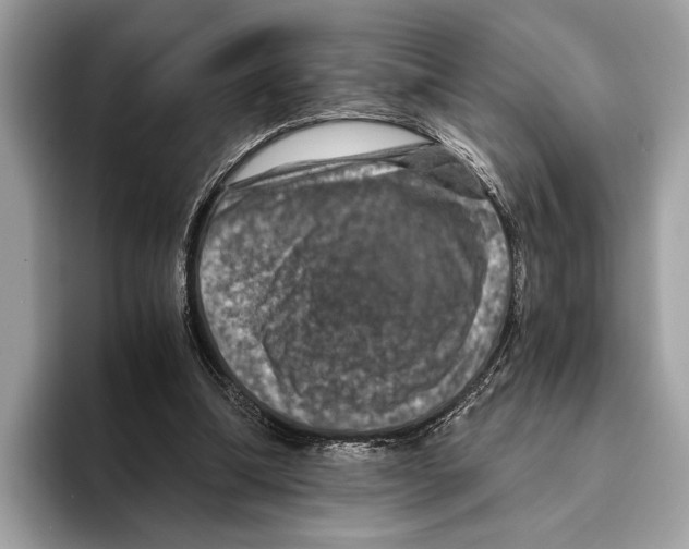 X0000095540298200801111439