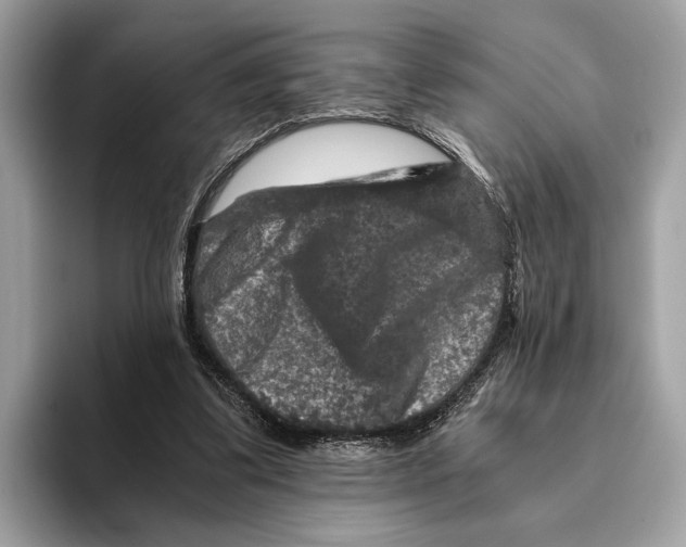 X0000095540299200801111438