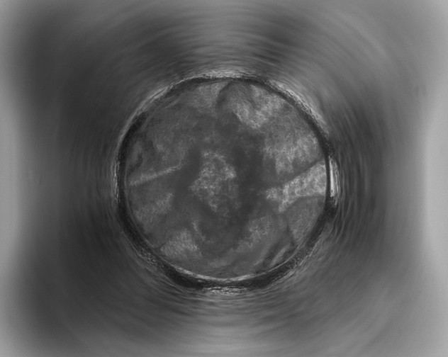 X0000095540300200801111438