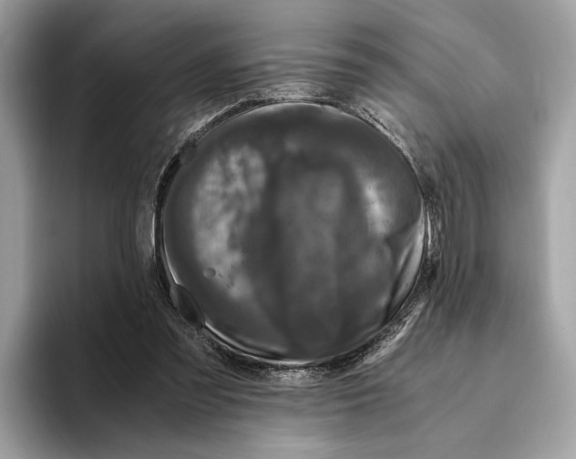 X0000095540301200801111438